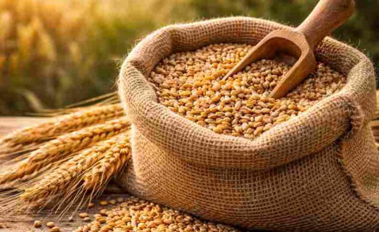 Sēklaudzētāji varēs paši drukāt produkcijas etiķetes